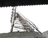 194.jpg