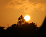 Parrog Sunset