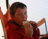 Harry The Hog