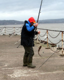 Catch of the Day