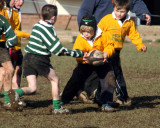 Daniel Carrying
