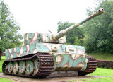 Tiger at Vimoutiers