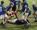 Head to Head