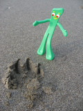 Gumby discovers T-Gromit tracks