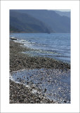 Pebble beach