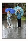 Bali rain