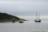 20090727_1855 Tadoussac.jpg