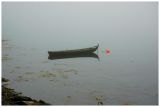 Seagull and boat