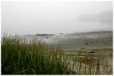 Beach in the fog