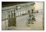 Ducks in a pond  (Hvor endene mtes ;-)