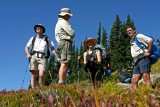 Hikers Near Cloudy Pass