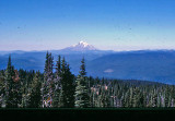 Looking  South  At Mt. Saint Helens From Pacific Crest Trail