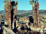 Warner Springs Bridge As Seen In April 1977
