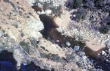 Deep Creek Hot Springs As Viewed From PCT
