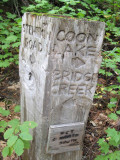 Trail Toward Bridge Creek