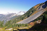 Trail West Of Cascade Pass