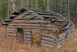  Old Log Cabin in Washington Ghost Town