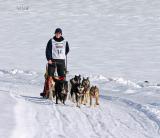  Dina Lund at finish of first leg of 6 dog race