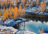  Golden Larch Ring High Lakes In October ( Enchantments)