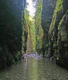 Wading Through Oneonta Gorge ( Columbia Gorge Area)