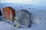  Till Death do us part. ( I wonder if they are still kicking at each other down there?)