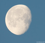 Moon22c1455.jpg
