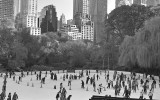 A Day in Central Park