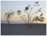 Death Valley