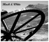 Black & White Photos