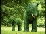  Elephant sculptures