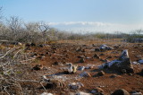 Galapagos 0543.jpg