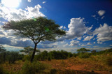Tanzania 2005 0357.jpg