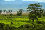 Tanzania 2005 0587.jpg