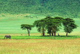 Tanzania 2005 0593.jpg