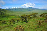 Tanzania 2005 0131.jpg