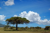 Tanzania 2005 0162.jpg