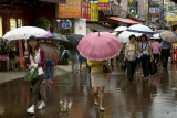 Rainy day, Namdaemun Market
