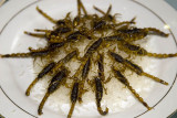 Fried scorpion for lunch, Yuntai Shan