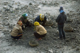 Picking over waste coal scraps