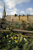 Cable Street Community Gardens, East London