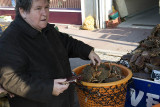 Crabs for sale, Normandy