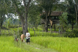 Farm home outside Ban Phon Sim