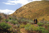On the Larapinta Trail