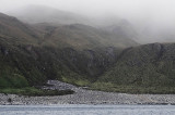 Lusitania Bay rookery