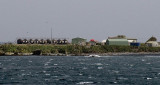 Nearing the Australian Antarctic Research Expeditions base on Macquarie