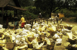 Unloading rock sulphur, Kawah Ijen