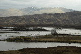 Rannoch Moor