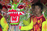 Lion ready to dance