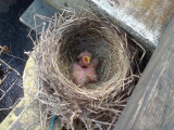 Feeding time