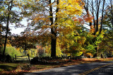 Marlboro VT 20101009_71 October Scenery.JPG